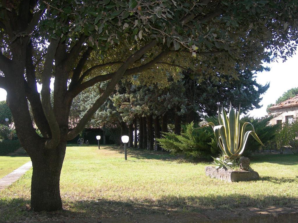 Tenuta Di Pontesodo Montalto di Castro Luaran gambar