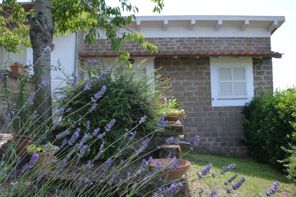 Tenuta Di Pontesodo Montalto di Castro Luaran gambar