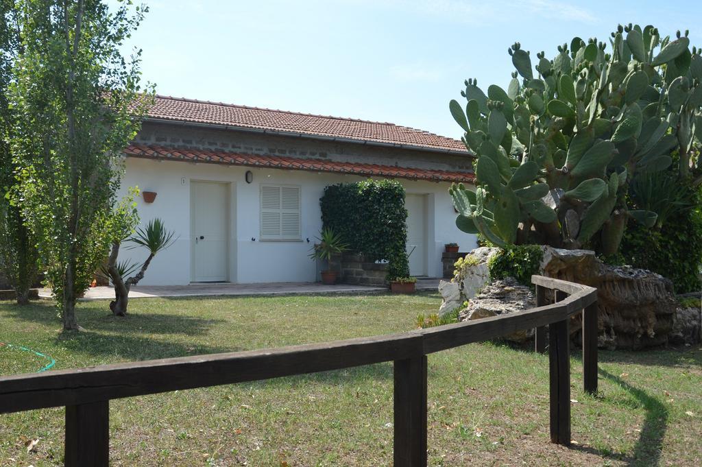 Tenuta Di Pontesodo Montalto di Castro Luaran gambar