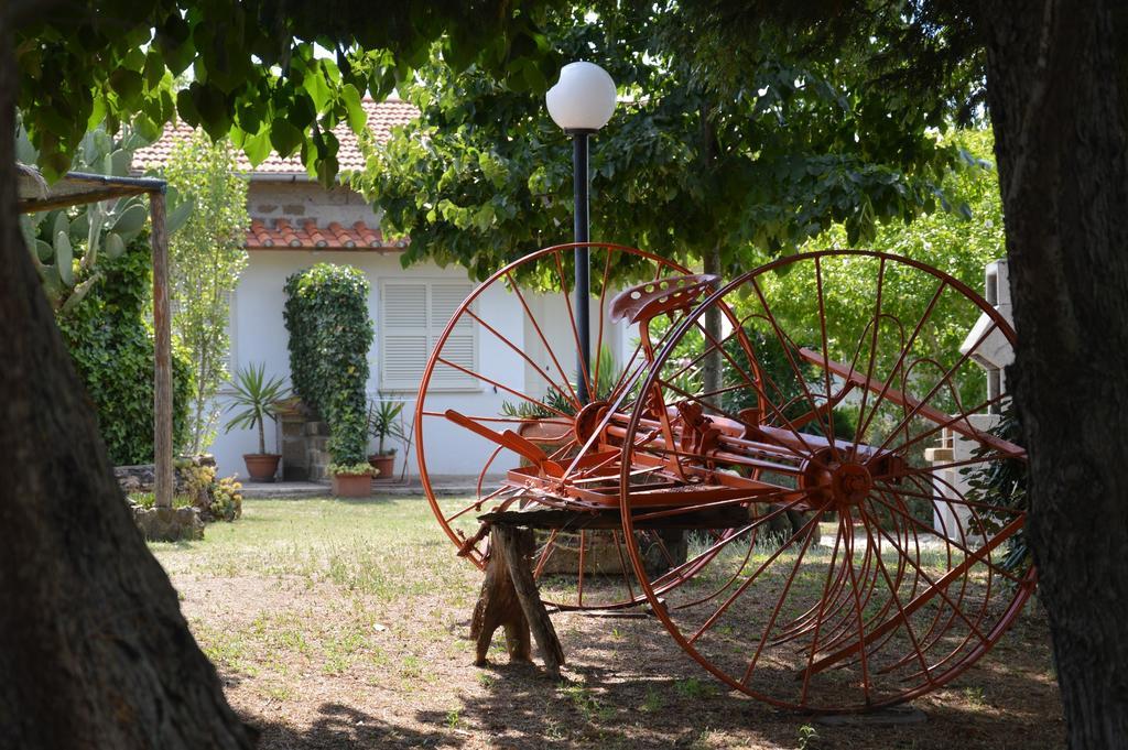 Tenuta Di Pontesodo Montalto di Castro Luaran gambar