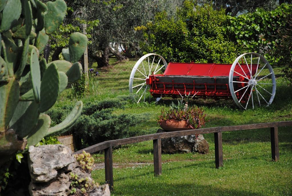 Tenuta Di Pontesodo Montalto di Castro Luaran gambar