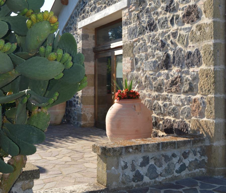 Tenuta Di Pontesodo Montalto di Castro Luaran gambar