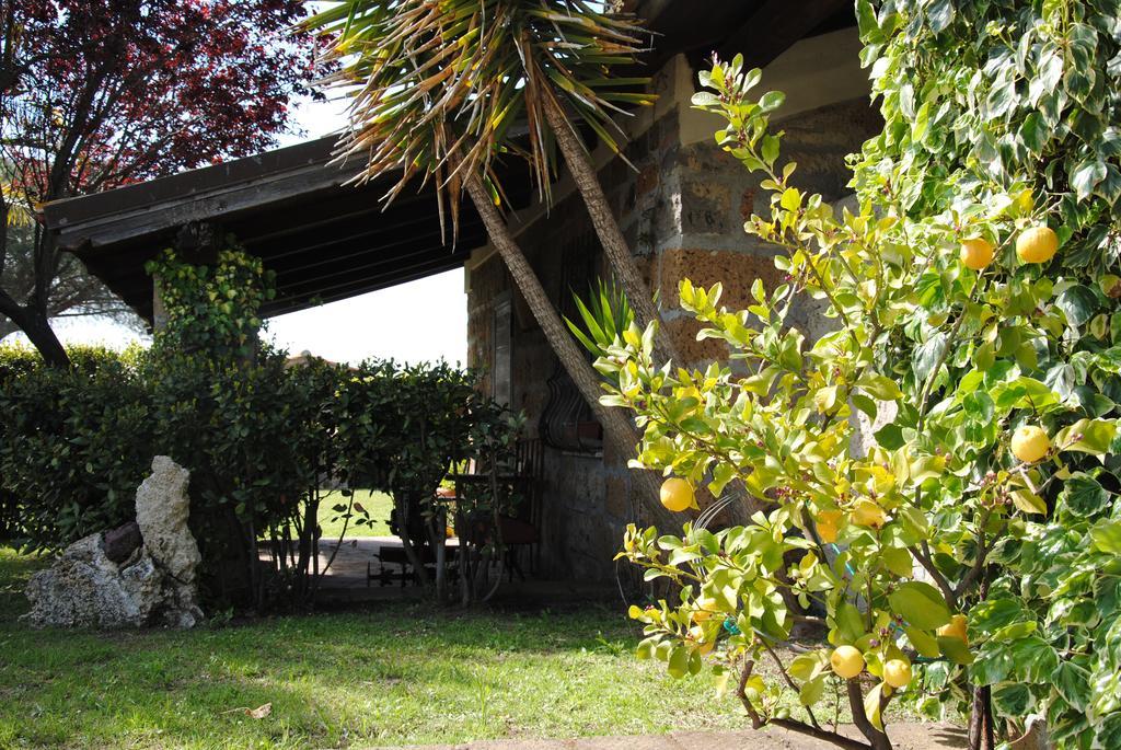 Tenuta Di Pontesodo Montalto di Castro Luaran gambar
