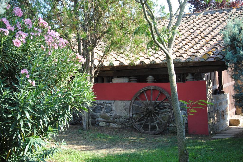 Tenuta Di Pontesodo Montalto di Castro Luaran gambar